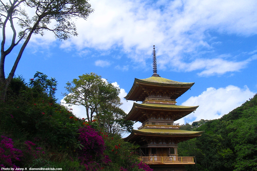 KYOTO GARDEN ̎Od