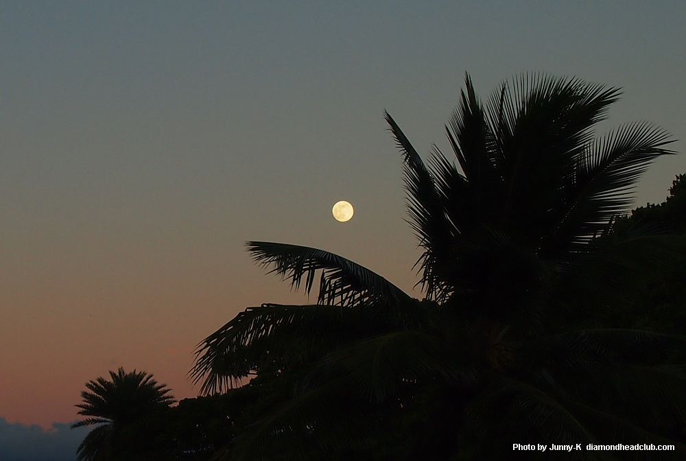 Moonrise
